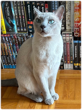 唯我独尊と一意専心